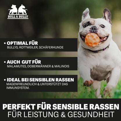 BULL & BULLY Frische Beute Trockenfutter - 10kg Lachs Rind Geflügel