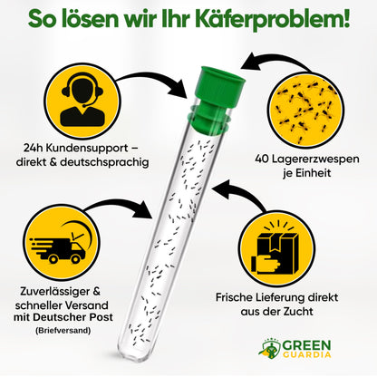 GREEN GUARDIA Lagererzwespen gegen Brotkäfer - 3 Röhrchen