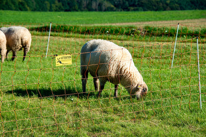 horizont easyLine Elektronetz Schafzaun 90cm/50m - 14 Pfähle