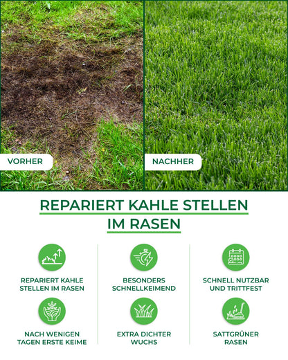 Premium Rasensamen schnellkeimend 10kg/400qm Herbst – TEST SEHR GUT