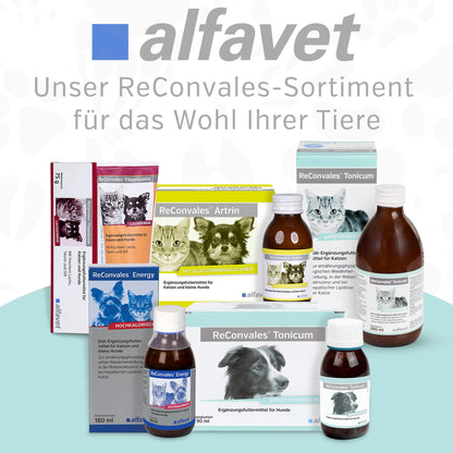 Alfavet ReConvales Tonicum Katze, Ergänzungsfuttermittel, 2 x 280 ml