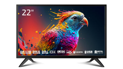 DYON Enter 22 Pro X2 Full-HD Fernseher – 22 Zoll. Schwarzer, rechteckiger 22-Zoll-TV zur Wiedergabe von Full-HD Inhalten.