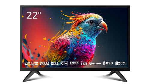 DYON Enter 22 Pro X2 Full-HD Fernseher – 22 Zoll. Schwarzer, rechteckiger 22-Zoll-TV zur Wiedergabe von Full-HD Inhalten.