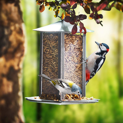 Paul's Mühle Mehlwürmer getrocknet Premium – 10 kg