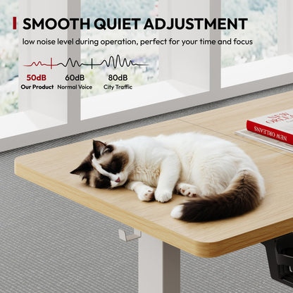 SANODESK 110x54 Höhenverstellbarer Schreibtisch - Ahorn