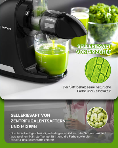 AMZCHEF Slow Juicer Saftpresse für Gemüse Obst - Mattschwarz