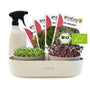 Plantura Bio-Sprossen Anzucht-Set Komplett mit Bio-Saatgut, 4 Sorten, Anzuchtschale und Sprühflasche