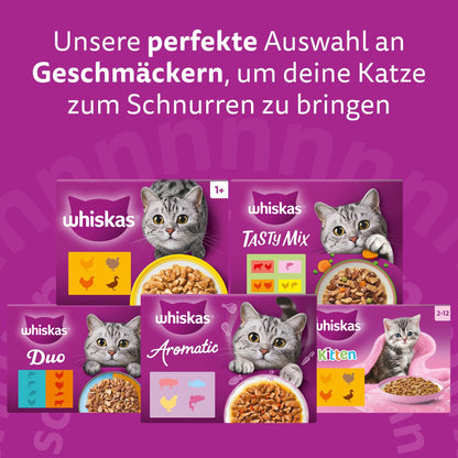 Whiskas Senior 7+ Katzennassfutter Gemischte Auswahl in Gelee 84x85g