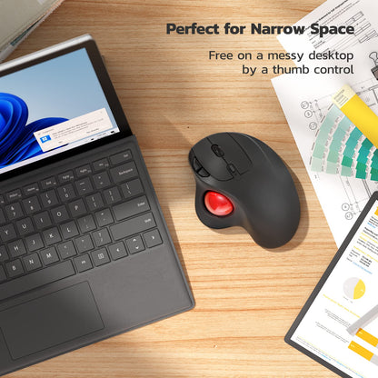 Nulea M501 Kabellose Trackball-Maus, ergonomisch, Bluetooth & 2,4 GHz