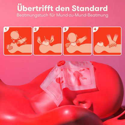 PURAHELP KFZ Verbandskasten Warndreieck Set DIN 13164 (2025)
