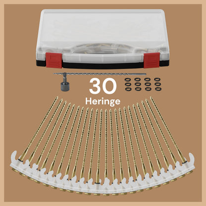 ABCamping Schraubheringe Set, 30 Stahl Zeltheringe mit Leuchteffekt