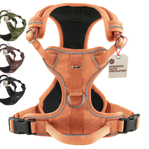 FREUDENTIER Clyde Hundegeschirr mit Mesh-Polsterung, Orange, M – Brustgeschirr mit Anti-Zug-Frontring