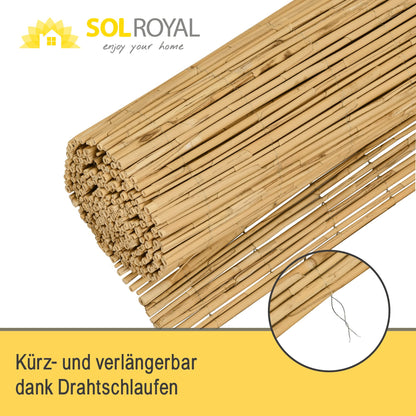 Sol Royal SolVision S36 Schilfmatte Sichtschutz 140x600 cm