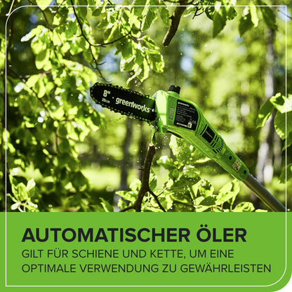 Greenworks G24PSHK2 Akku 2-in-1 Stabheckenschere & Hochentaster