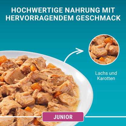 Purina ONE Junior Katzenfutter nass mit Lachs und Karotten, 12er Pack