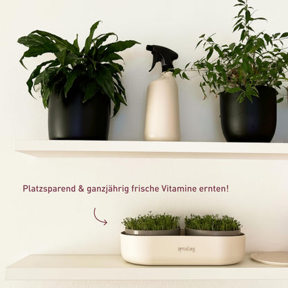 Plantura Bio-Sprossen Anzucht-Set Komplett mit Bio-Saatgut, 4 Sorten