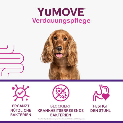YuMOVE Digestive Care Probiotika Hund Tabletten, 120 Stück