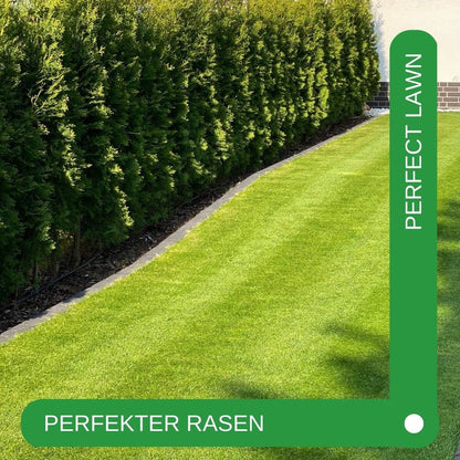 RISISANI Rasenrakel 80x30 cm aus V2A-Edelstahl, ohne Stiel