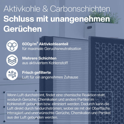 1E Filter-Set für Philips Luftreiniger, HEPA- & Aktivkohlefilter, 2er