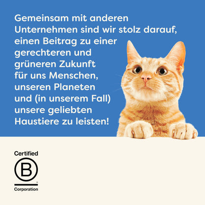 Applaws Katzennassfutter Thunfischfilet in Brühe, 24 x 156 g