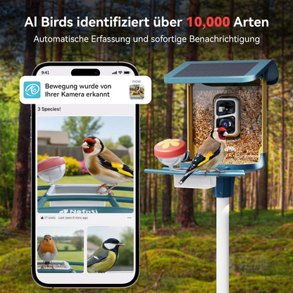 Nafnti V5 Vogelfutterhaus mit 2K-Kamera, Solar und IP65