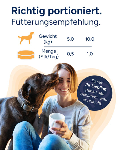 NutriLabs Canicox-HD Gelenktabletten für Hunde, 100 Kautabletten
