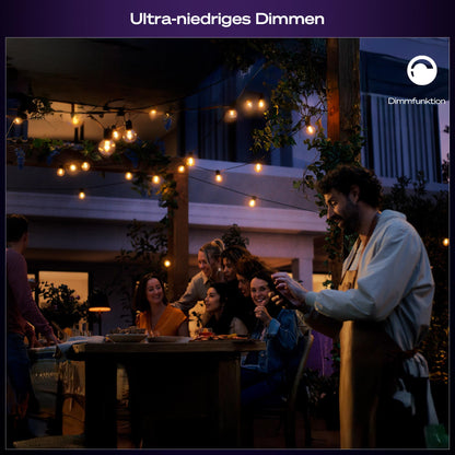 Philips Hue Festavia Globe LED-Aussenlichterkette, 14 m, 20 Lampen