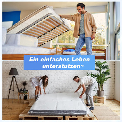 ARANA Gasdruckfeder 700mm 1250N (127kg) – 2 Stück
