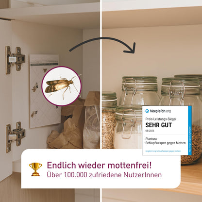 Plantura Schlupfwespen gegen Lebensmittelmotten – 18 Karten Komplett-Lösung