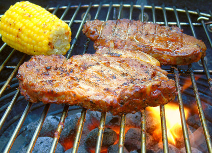 ACTIVA Saalfeld Holzkohlegrill aus Edelstahl mit verchromtem Grillrost