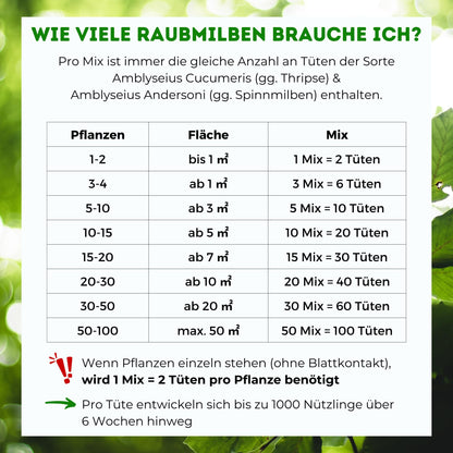 Futeco® Raubmilben MIX Nützlinge – Spinnmilben & Thripse, 60 Tüten