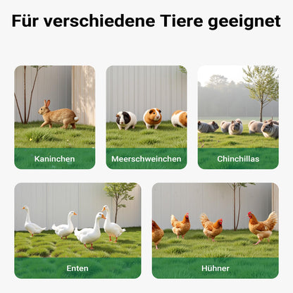 Wiltec Freilaufgehege Kleintiere – 216x116x65 cm stabil