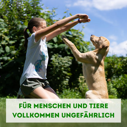 Futeco® Raubmilben MIX Nützlinge – Spinnmilben & Thripse, 60 Tüten