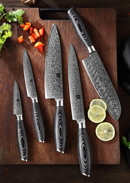 XINZUO 5tlg. Damaststahl Kochmesser Set - 67 Lagen Profi