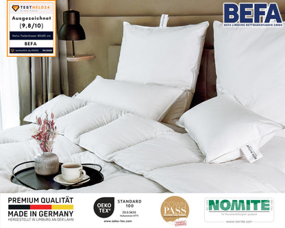 BEFA NATUR Federkissen Kopfkissen Set 80x80 cm (2er)