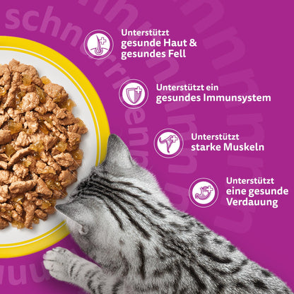 Whiskas Nassfutter in Gelee für Katzen, Geflügel Auswahl, 120 x 85 g