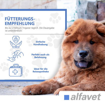 Alfavet FeliGum Trojaner Medikamentenversteck für Hunde und Katzen