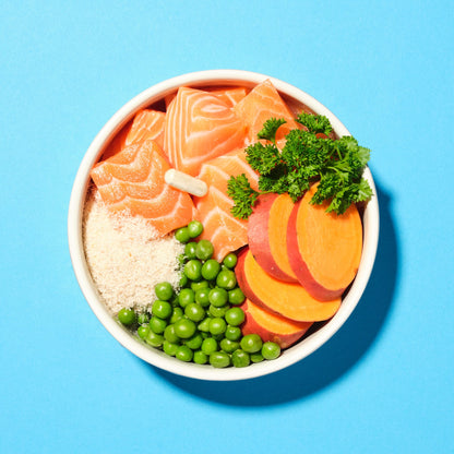 Pooch & Mutt Vitalität & Verdauung Getreidefrei Hundefutter Lachs 10 kg