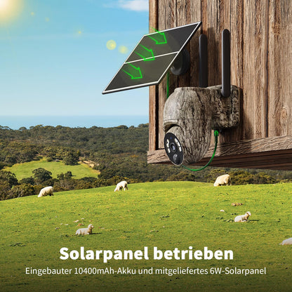 NUASI Wildkamera RBX-S60, 4G LTE, Solar, 2K Farbnachtsicht, IP66