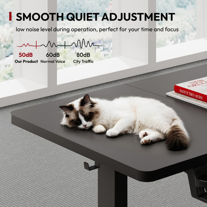 SANODESK Höhenverstellbarer Schreibtisch 110x54 cm - Schwarz