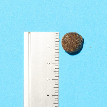 Pooch & Mutt Vitalität & Verdauung Getreidefrei Hundefutter Lachs 10 kg