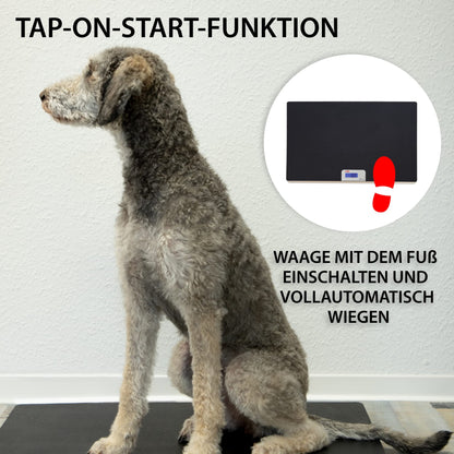 ADE Digitale Tierwaage – Grosse XL Hundewaage bis 100 kg