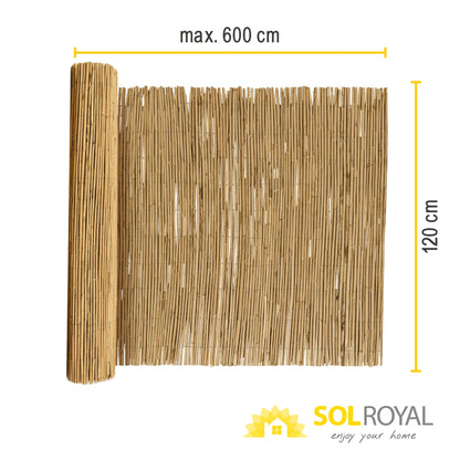 Sol Royal SolVision S36 Schilfmatte Sichtschutz 120 x 600 cm