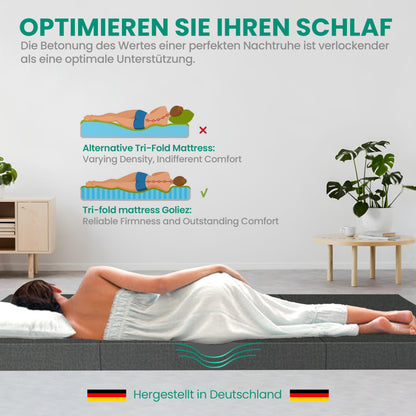 Goliez Klappmatratze Schaumstoff Grau Einzel 195x80x10cm
