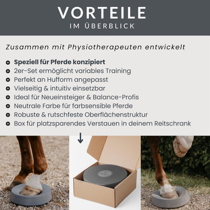 NØRSHOLM EQUESTRIAN Balance Pad Pferd Bodenarbeit 2er Set