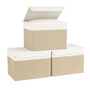 Bagnizer Aufbewahrungsbox mit Deckel, 3er Set, faltbar, Weiss & Beige, Leinen mit vernähten Griffen