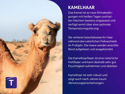 Traumnacht Kamelhaardecke Medium Ganzjahresdecke 135x200 cm