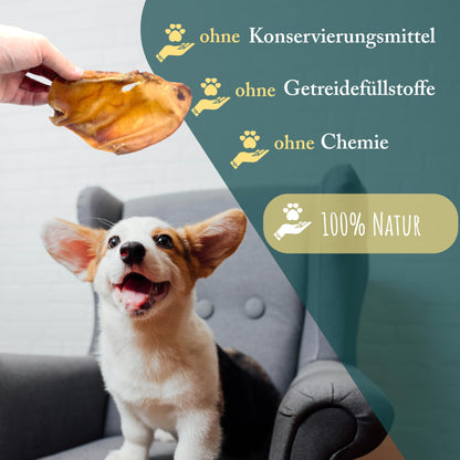 WuffSnacks Getrocknete Schweineohren für Hunde – 50 Stk.