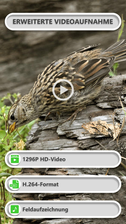 GardePro E8P Max Wildkamera mit WLAN, 64 MP, 1296P und Akku