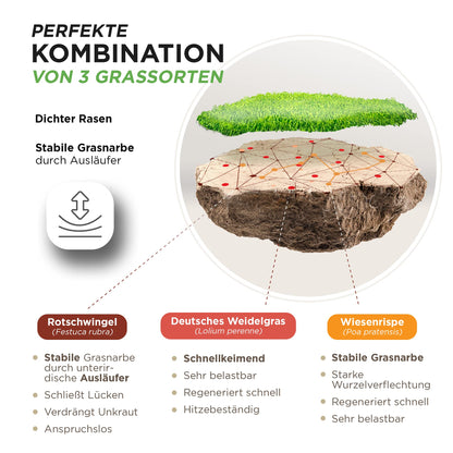 Premium Sport & Spiel Rasensamen - schnellkeimend trockenresistent 10kg